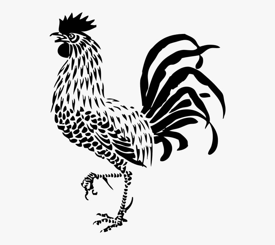 Rooster, Poultry, Bird, Animal, Proud, Calling, Crow - Rooster Line Art, Transparent Clipart