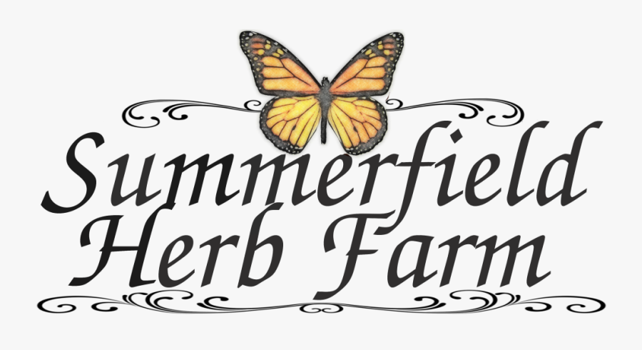 Monarch Butterfly, Transparent Clipart