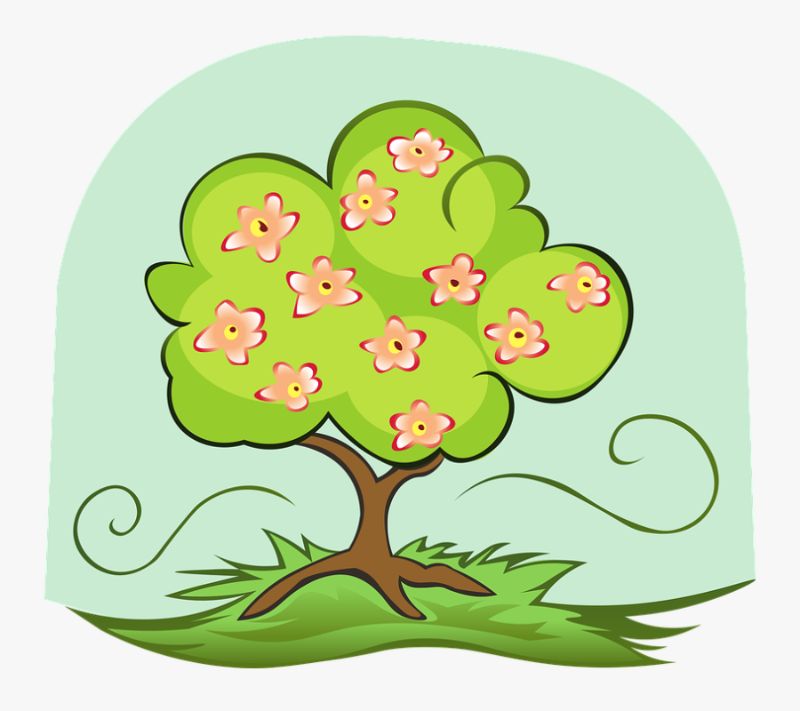 Cherry, Blossom, Tree, Spring, Bloom, Branch, Nature - Illustration, Transparent Clipart