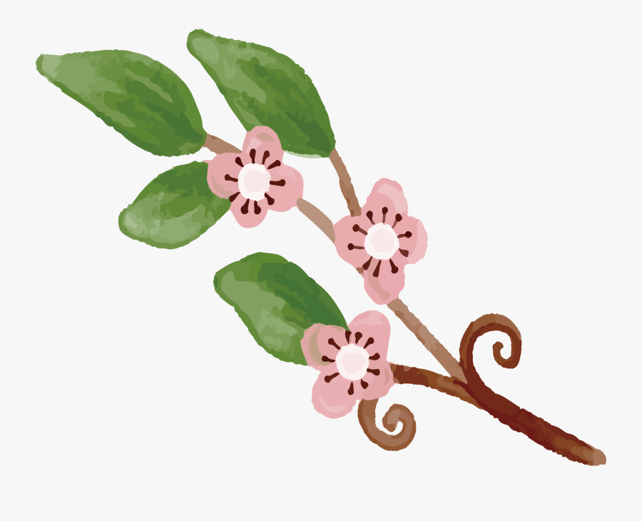 Cherry Blossom Drawing, Transparent Clipart