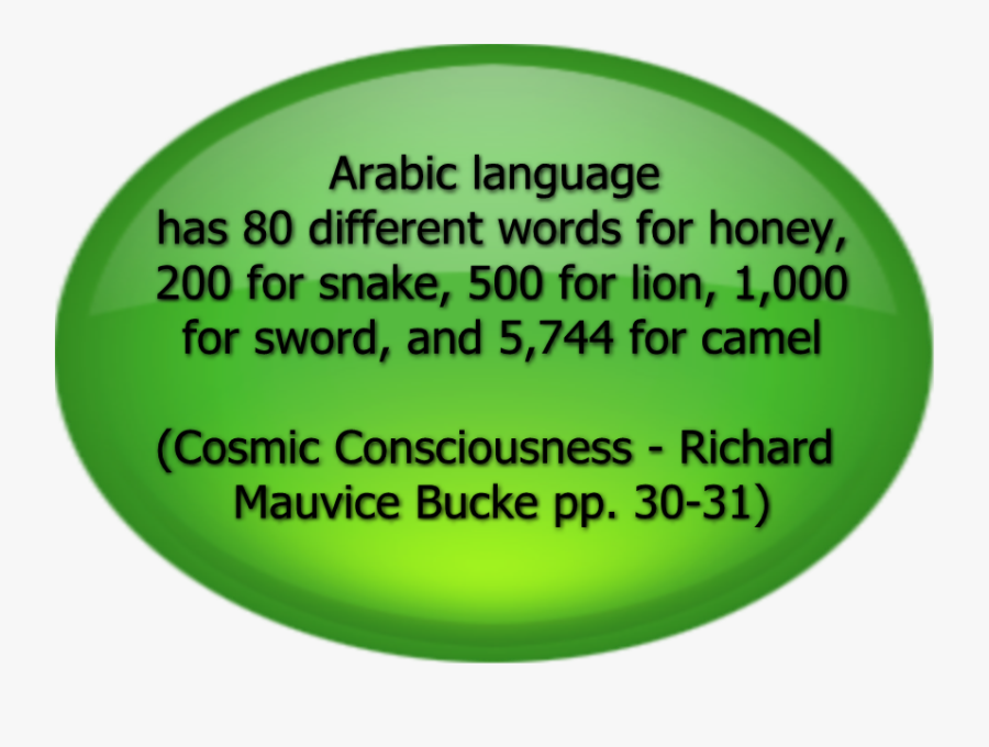 Quran In Pure Arabic, Transparent Clipart