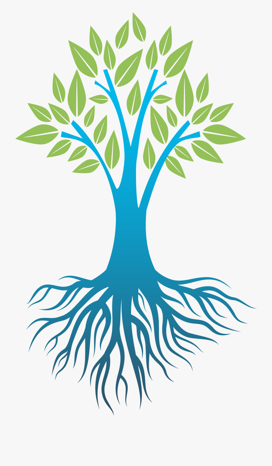 モリンガ の き, Transparent Clipart