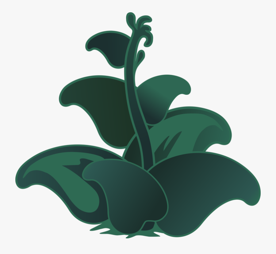 Plant,flower,leaf - Planta De Hoja Verde Y Carnosa, Transparent Clipart