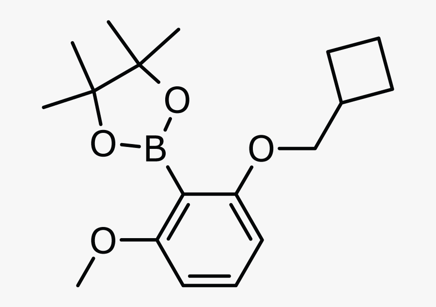2 Cyclobutylmethoxy 6 Methoxyphenylboronic Acid Pinacol - 4 Phenyltoluene, Transparent Clipart