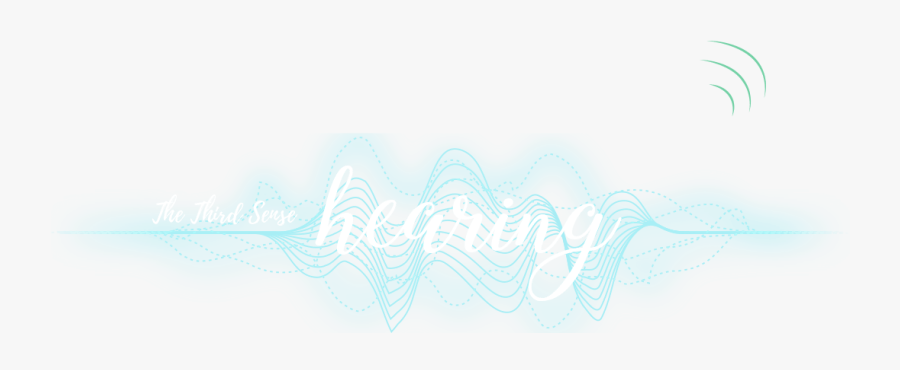 Sketch, Transparent Clipart