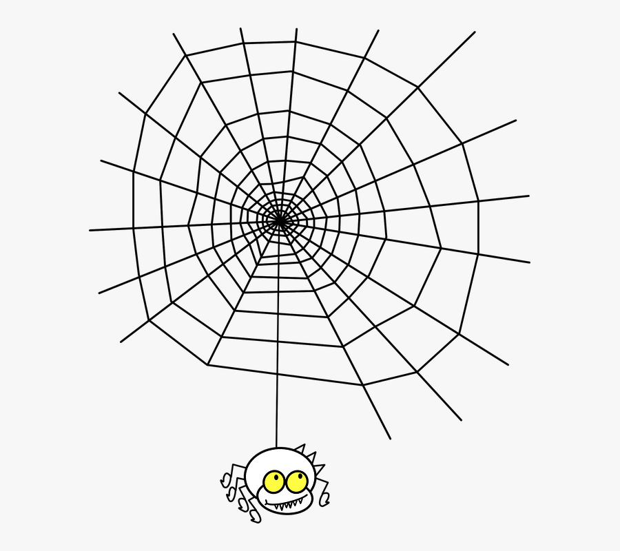 Transparent Spider Webs Clipart - Maths In Spider Webs, Transparent Clipart
