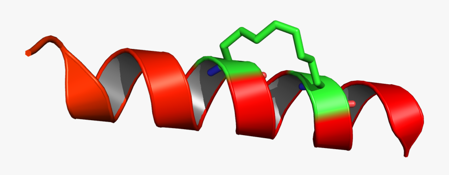 Peptide Png, Transparent Clipart