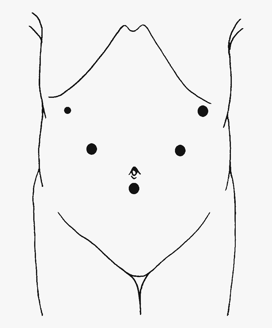 Locations Of Fi Ve Ports - Line Art, Transparent Clipart