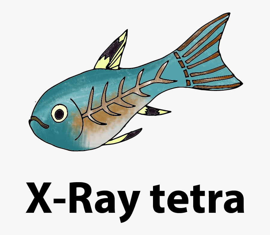 Xray Clipart Fish - ปลา พ ริ ส เท ล ล่า การ์ตูน, Transparent Clipart