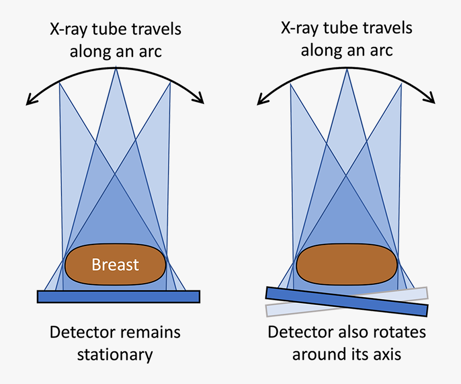 Diagram, Transparent Clipart