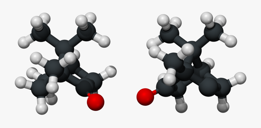 Alcanfor 3d Xray - Campher Molecular Structure 3d, Transparent Clipart