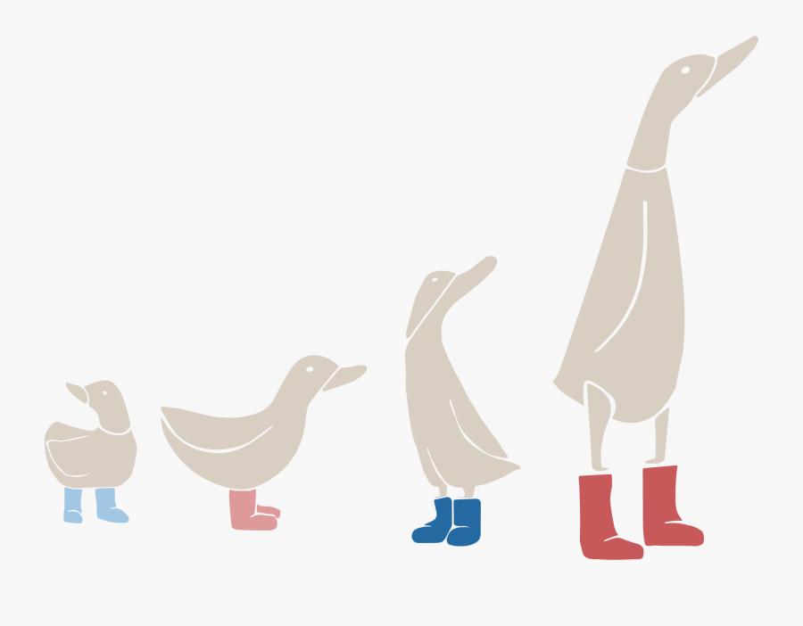 Boston Nanny Centre - Duck, Transparent Clipart