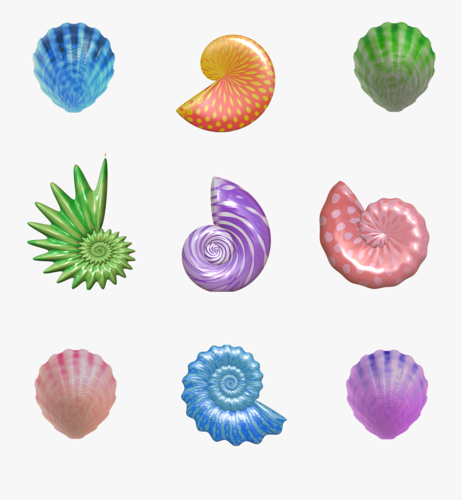 Shell Seashell Nautilus Free Picture - Seashell, Transparent Clipart