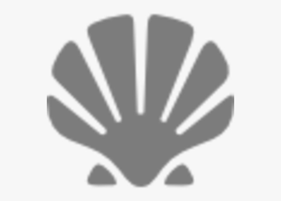 Icon Sea Shell Transparent, Transparent Clipart