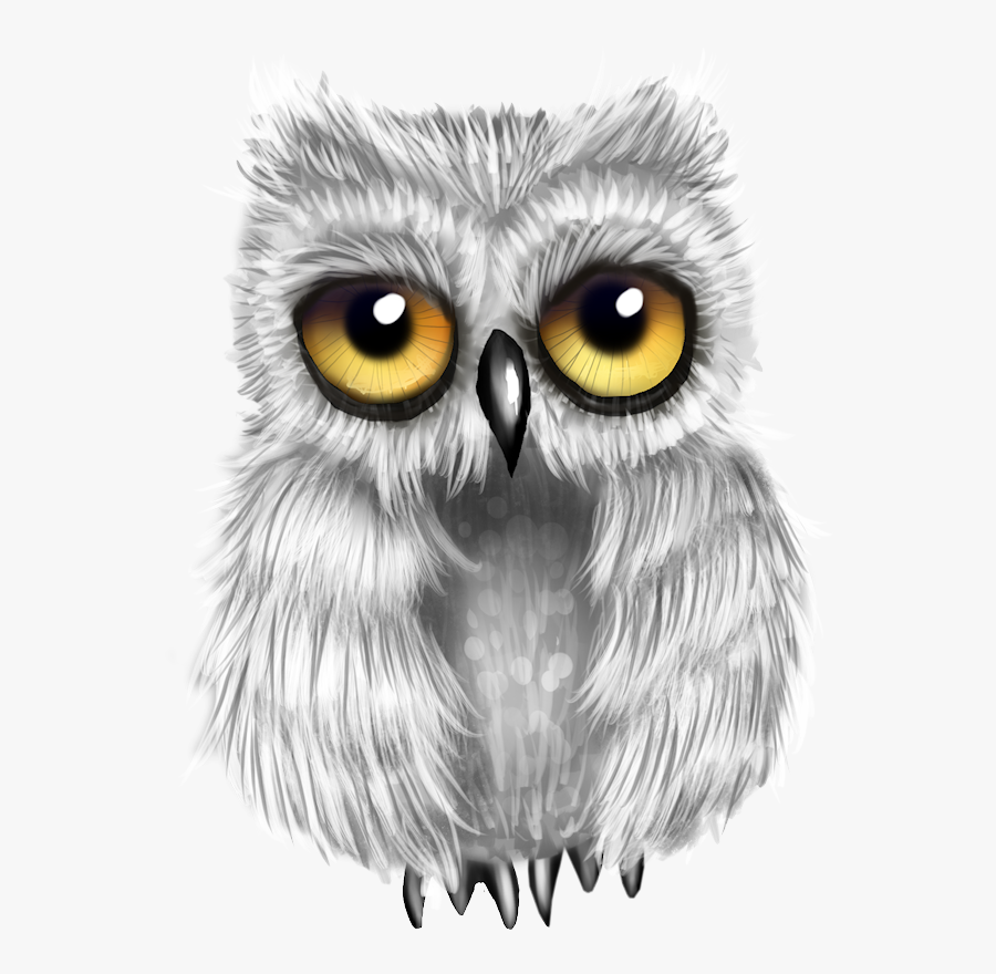 Transparent Baby Owl Png - Owl, Transparent Clipart