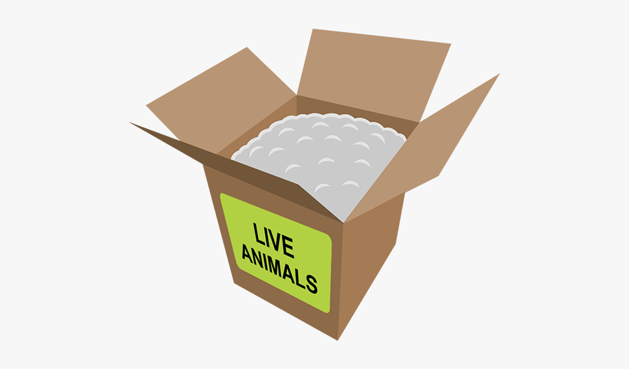 Boxes In A Box Prank, Transparent Clipart