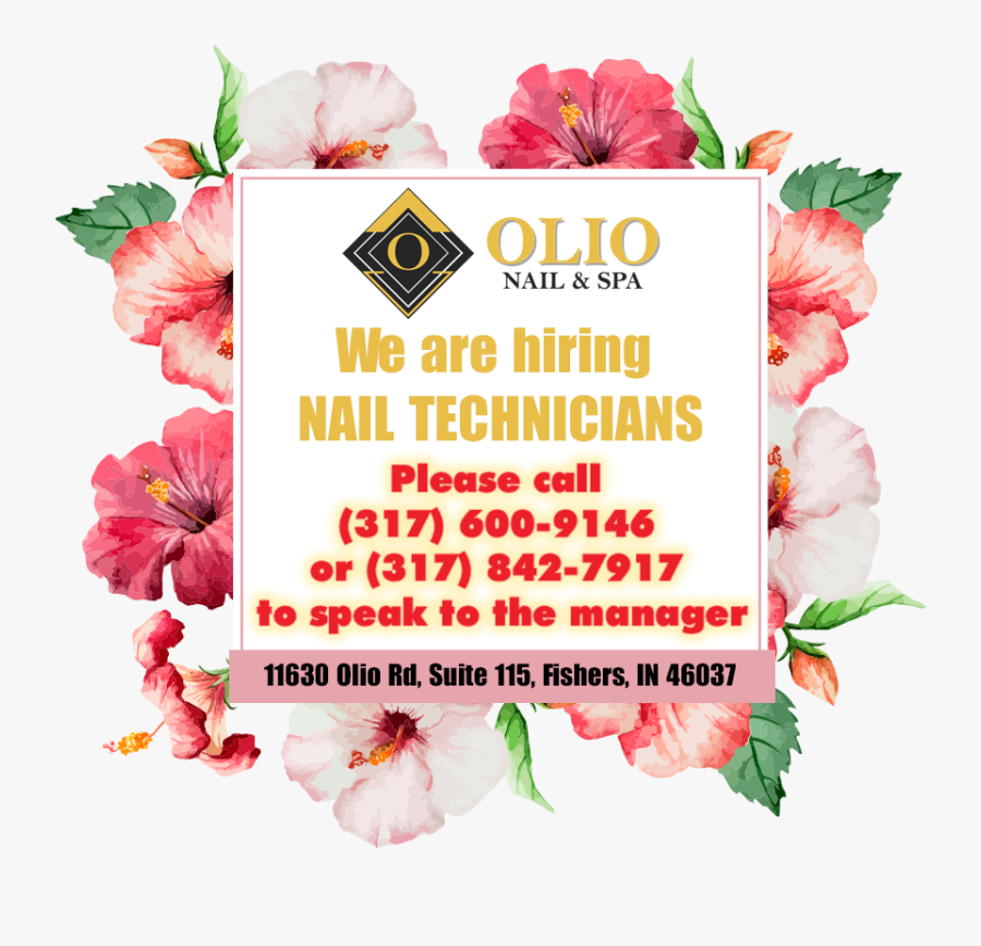 Garden Roses, Transparent Clipart