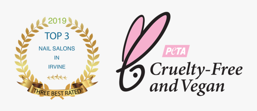 Footer - Graphic Design, Transparent Clipart