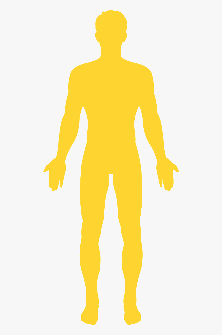 Illustration, Transparent Clipart