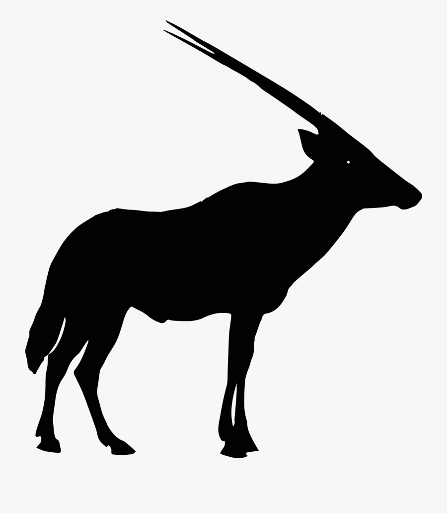 Gemsbok, Transparent Clipart