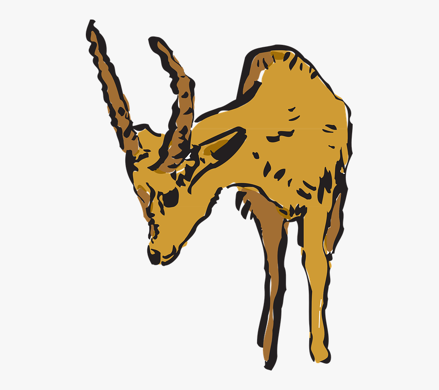 Antelope, Curious, Animal, Horns, Forest, Looking - Pronghorn, Transparent Clipart