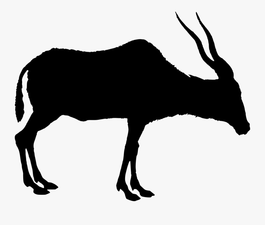 Mammal, Transparent Clipart