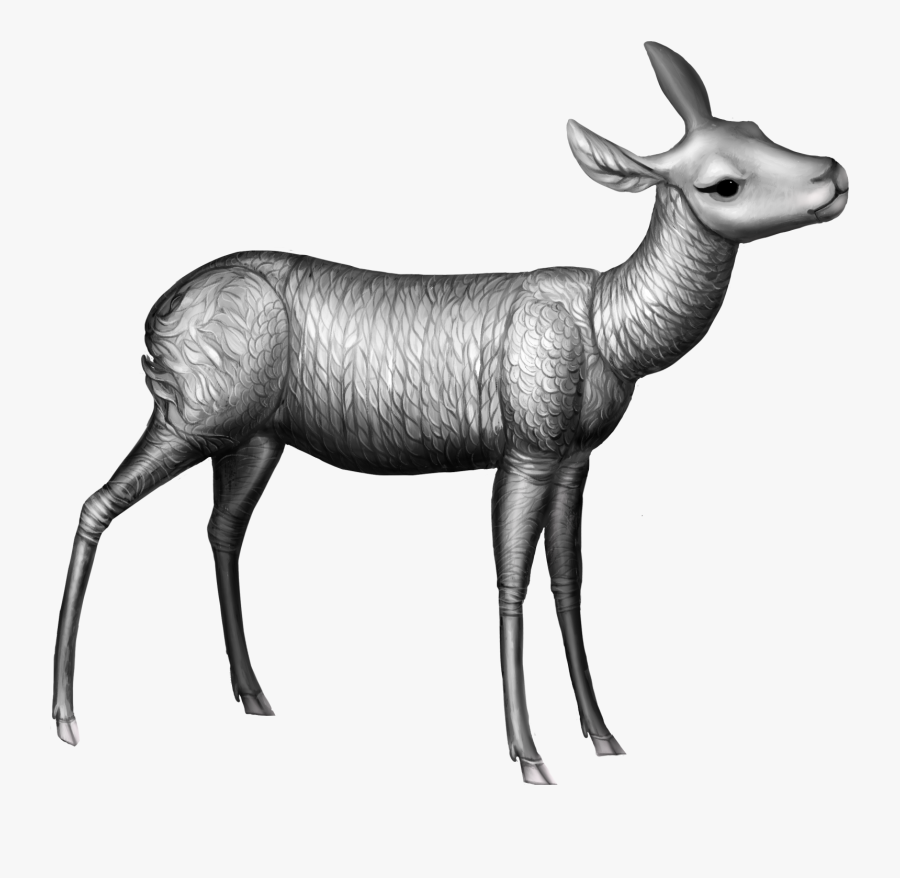 Biche Argentée - Roe Deer, Transparent Clipart