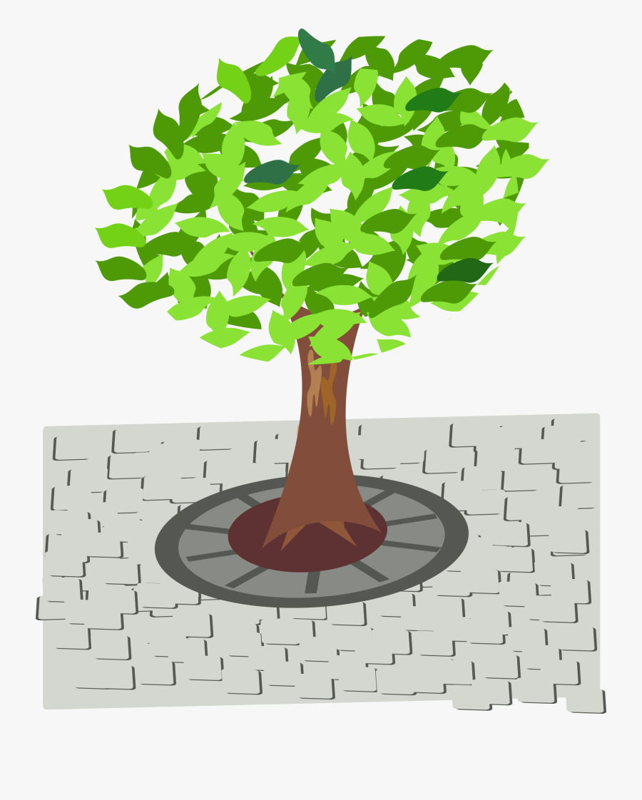 Transparent Tree Clip Art - Tree In Street Clipart, Transparent Clipart