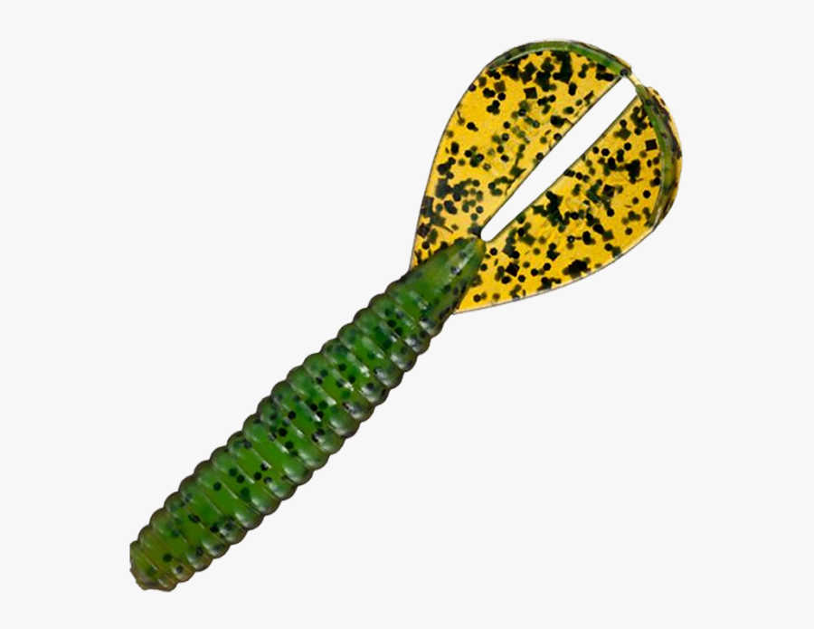 Steingaesser - 01600 08 0000 - Frutti Legnosi Secchi, 10 Pezzi, Colore: Naturale