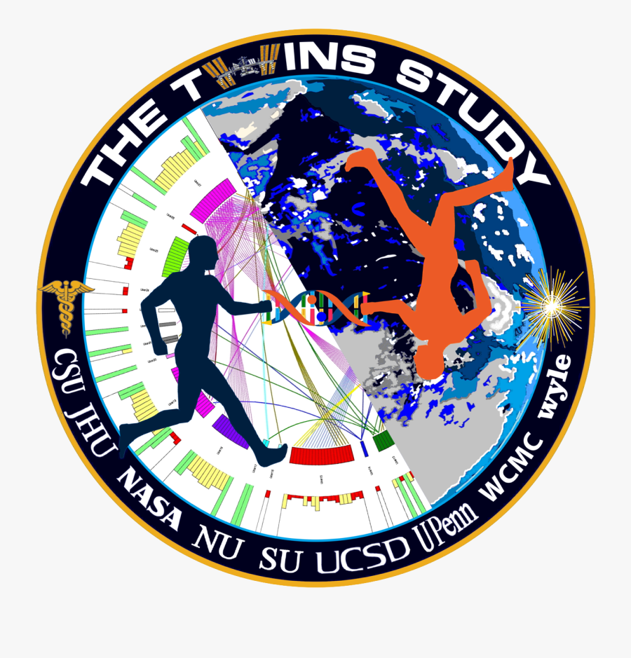 Results Of Nasa Twin Study, Transparent Clipart