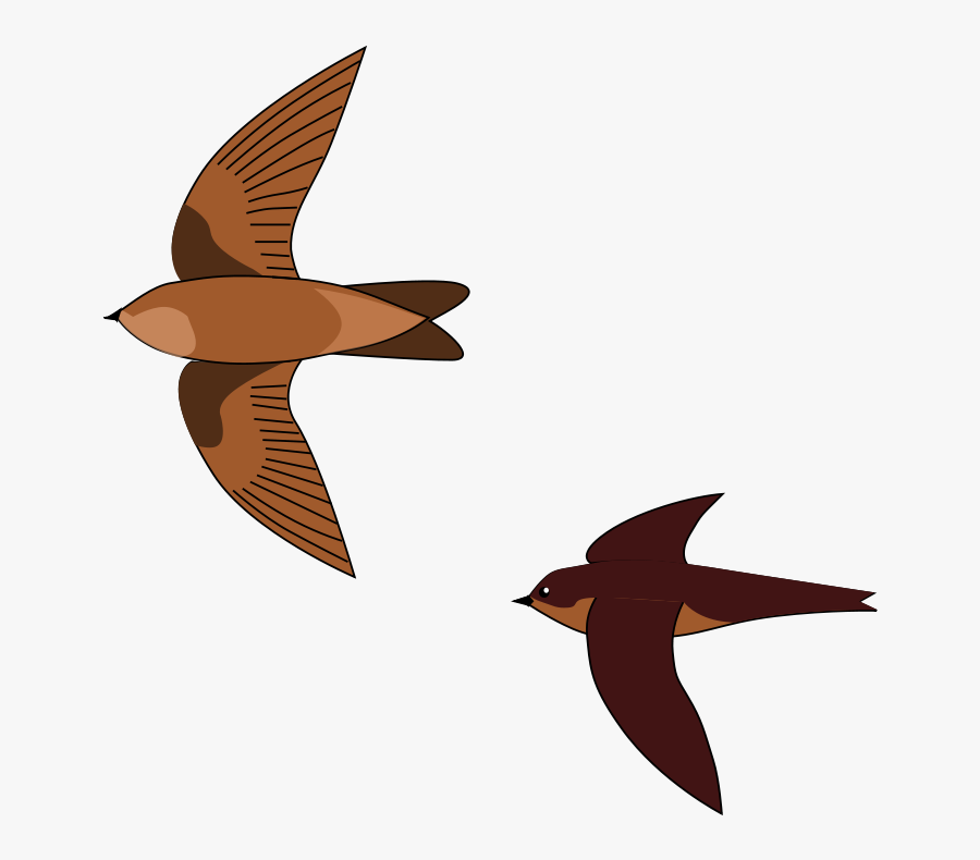 Edible Nest Swiftlet Png, Transparent Clipart