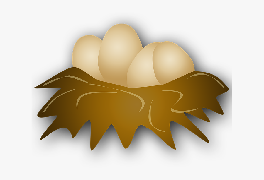 Bird"s Nest Nest Eggs Free Picture - Nido De Pajaros Png, Transparent Clipart
