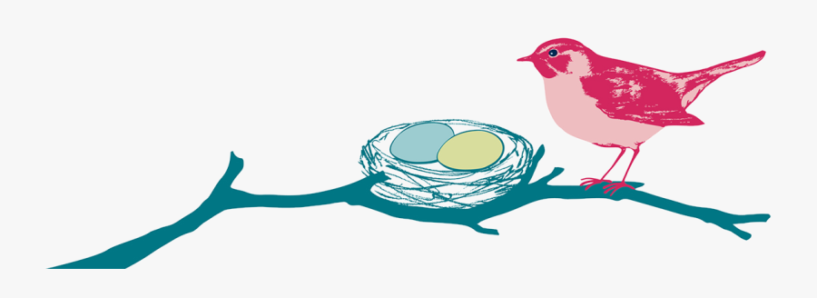 Best Nest Wellness Mascot Bird And Nest Illustration - Mama Belly Butter Striae, Transparent Clipart
