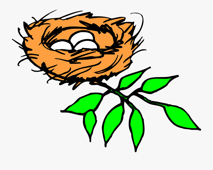 Bird, Eggs, Branch, Leaves, Nest - Clip Art Of Nest, Transparent Clipart