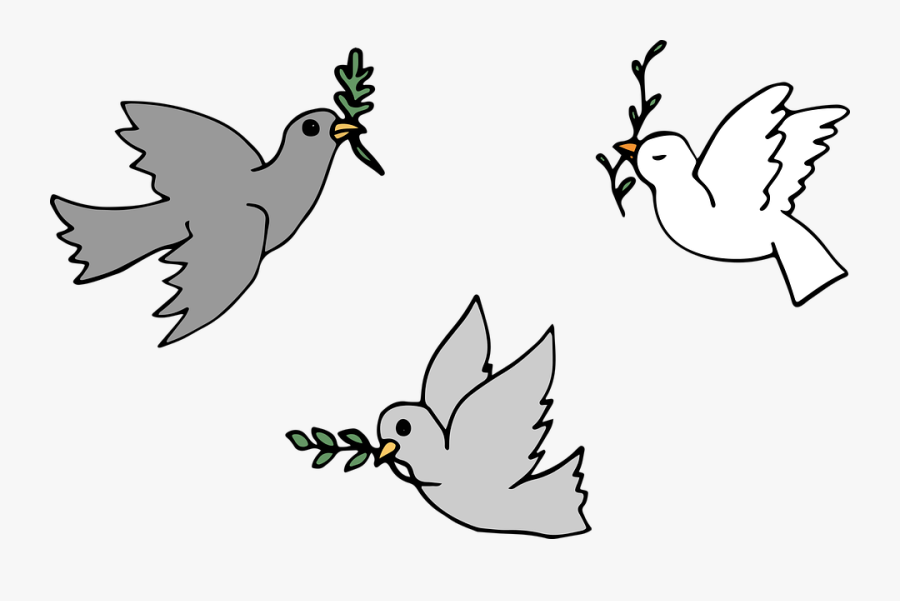 Dove, Bird, Animals, Religion, Faith, Noah - Bird Faith, Transparent Clipart