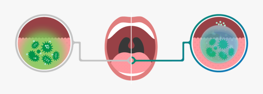 Circle, Transparent Clipart