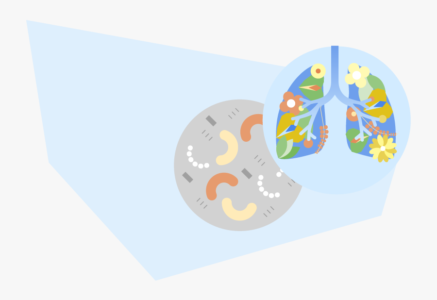 Illustration, Transparent Clipart