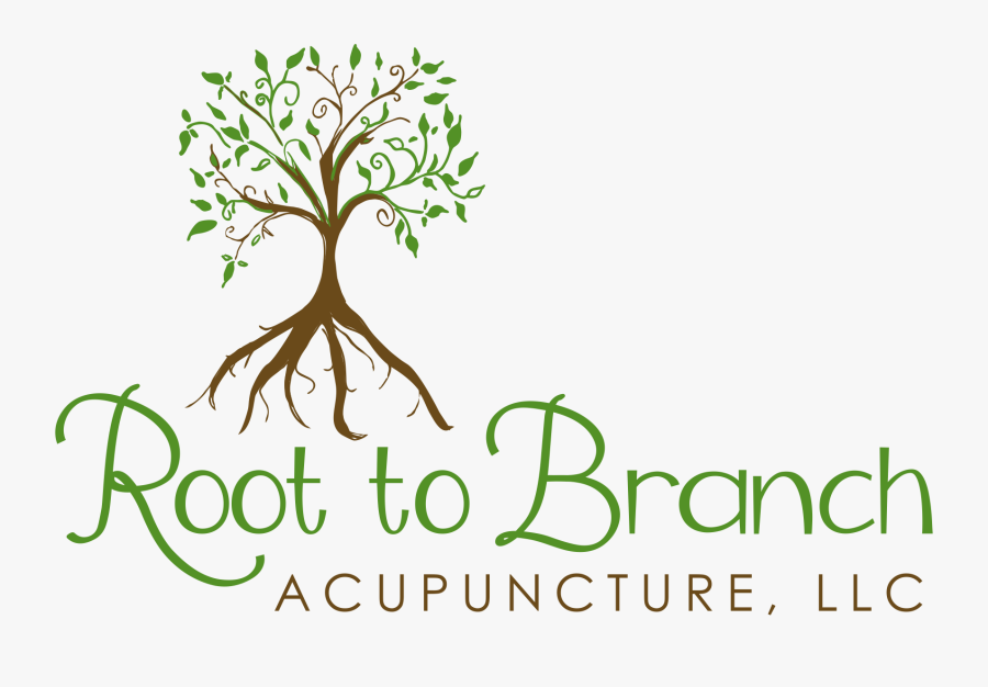 Branch Acupuncture, Transparent Clipart