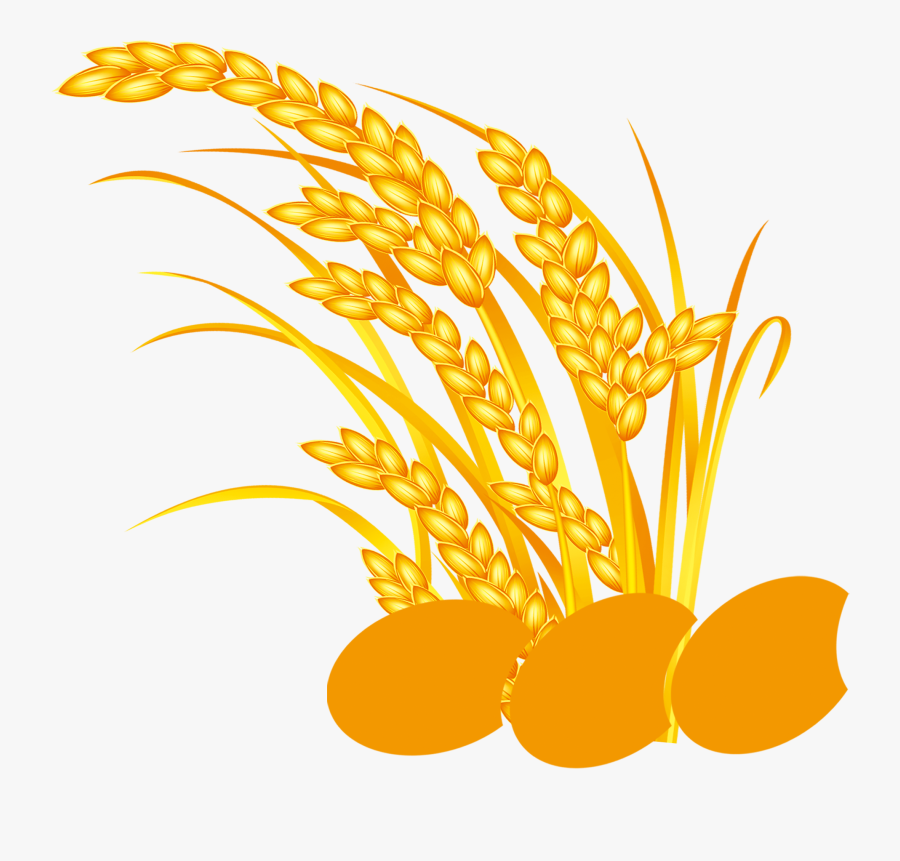 Grains Clipart Chicken Fried Rice - Logo Bong Lua Vang, Transparent Clipart