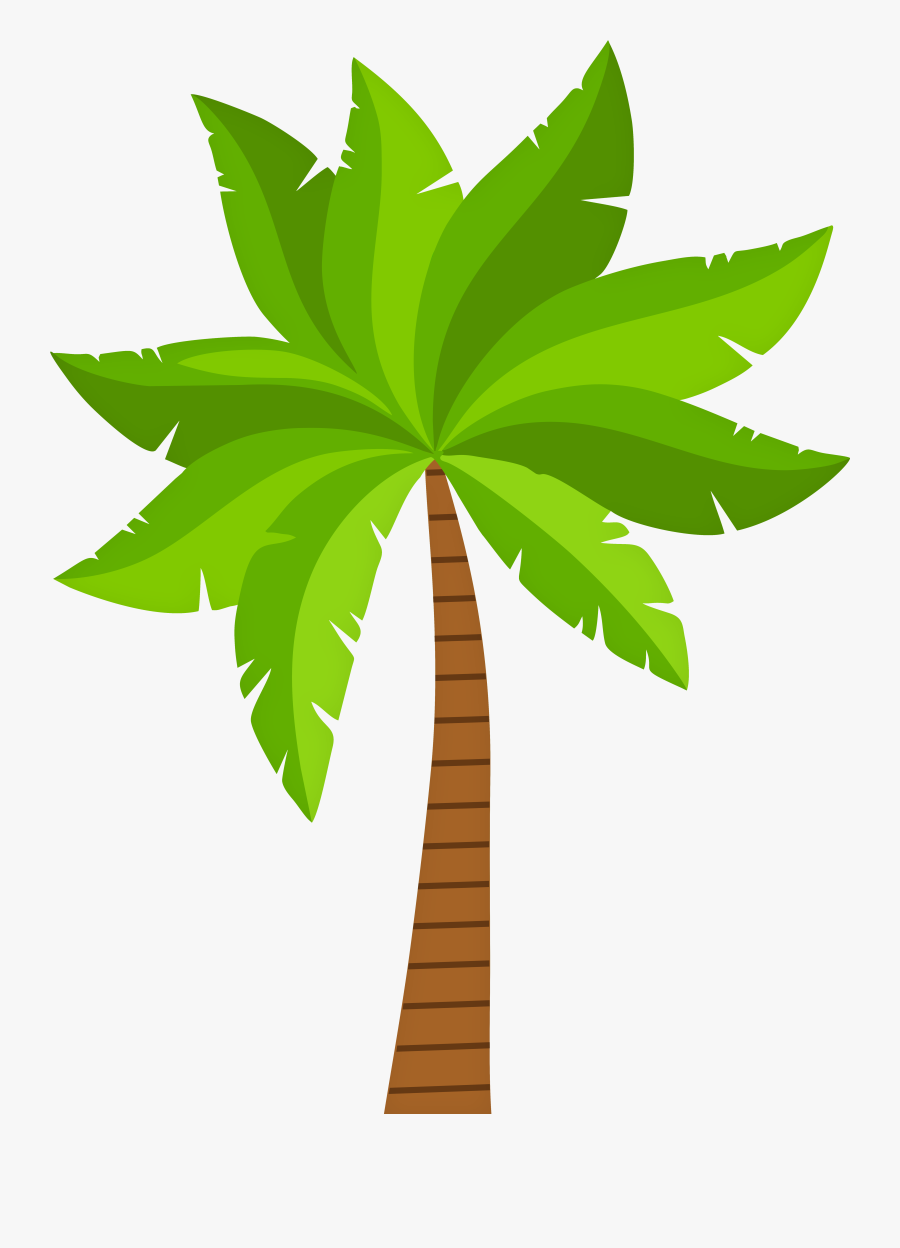 Palm Png Clipart - Illustration, Transparent Clipart