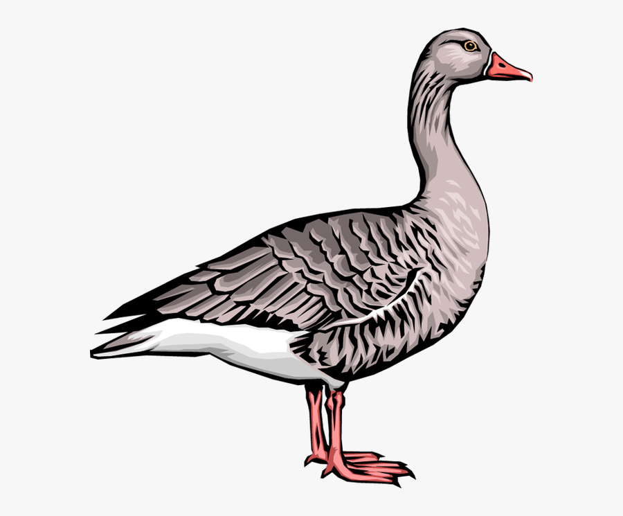 Transparent Unload Dishwasher Clipart - Goose Clip Art, Transparent Clipart