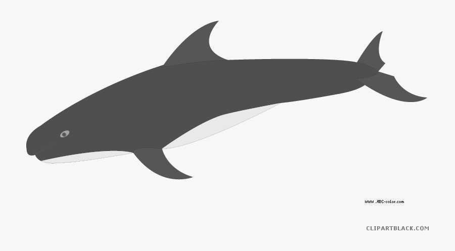 Killer Whale Animal Free Black White Clipart Images - Shark, Transparent Clipart