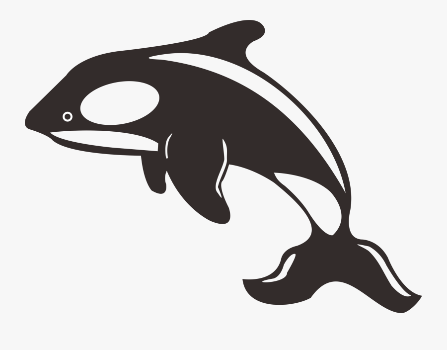 Clip Art Killer Whale Toothed - Whale And Dolphin Silhouette, Transparent Clipart