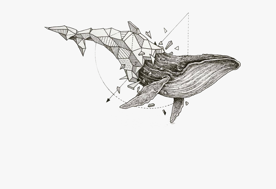 Whale Sketchbook Art Rosanes Geometry Of Stories - Dibujos De Animales Geometricos, Transparent Clipart