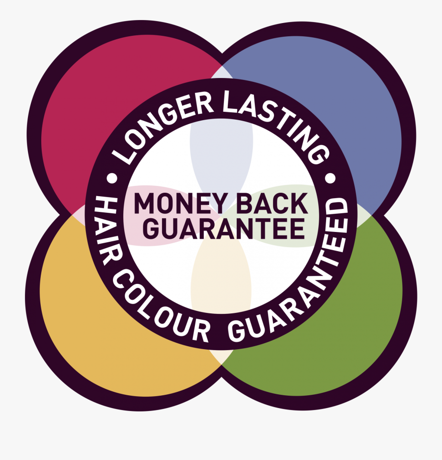 Circle, Transparent Clipart