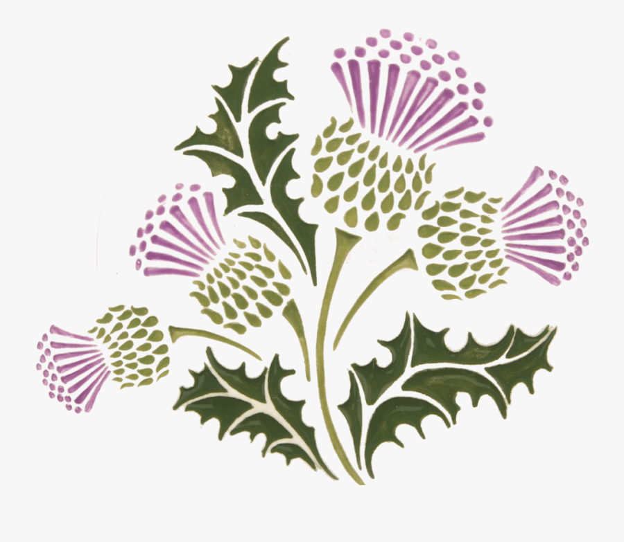 Celtic Thistle, Transparent Clipart