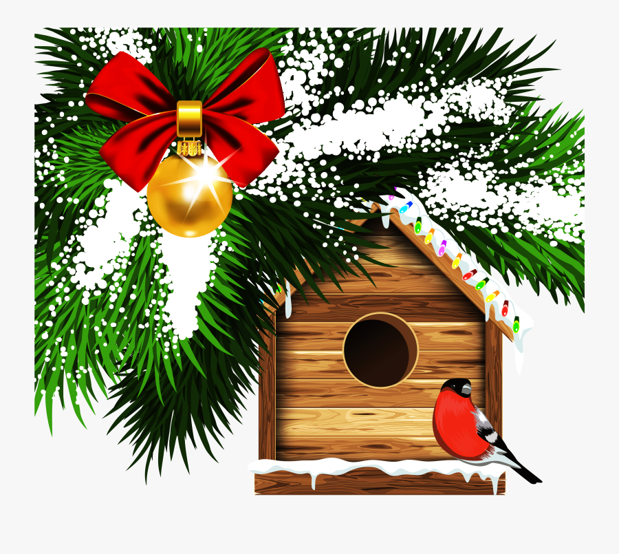 Transparent Bird House Png - Free Clipart Christmas Birds, Transparent Clipart