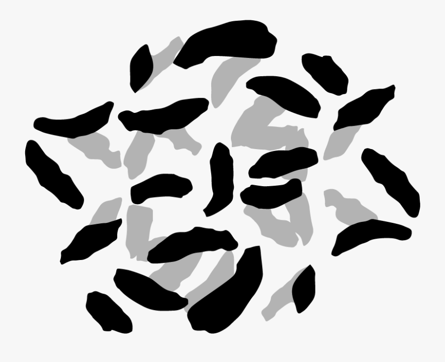 Mice Feces Mice Poop, Transparent Clipart