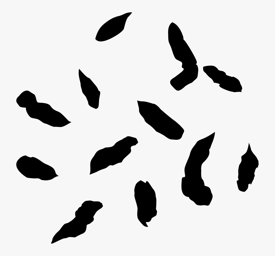 Bat Feces Guano Bat Poop - Chipmunk Droppings, Transparent Clipart