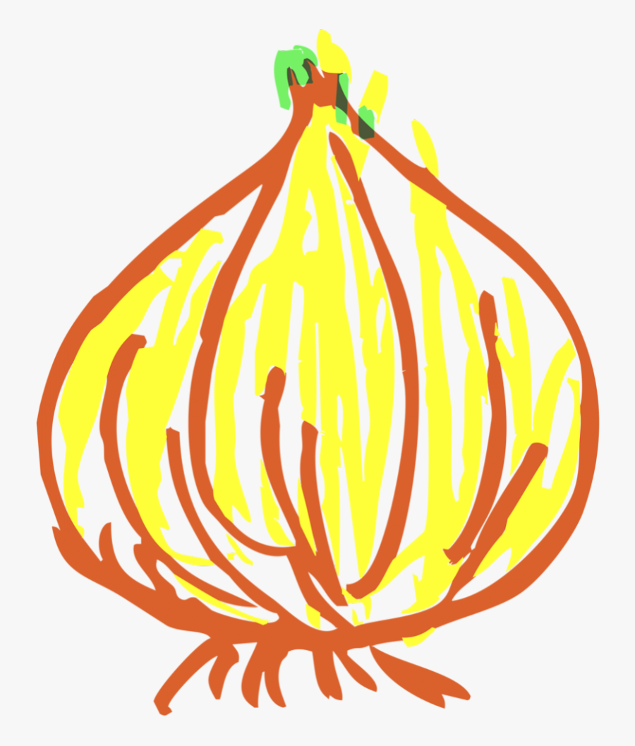 Onion-922x1024 - Gambar Vektor Bawang Merah Hd, Transparent Clipart